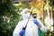 The process of treating plants with pesticides. Farmer in protective suit and mask walking trough orchard with pollinator machine