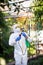 The process of treating plants with pesticides. Farmer in protective suit and mask walking trough orchard with pollinator machine