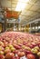 The process of washing apples in a fruit production plant