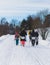 Process of winter hiking in Scandinavia, landscape view of a finnish wilderness with a group of tourists with trekking sticks