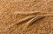 Processed organic wheat grains background