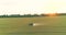 Processing a wheat field with pesticides. View from a drone. Tractor treats wheat field with pesticides