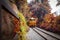 Procession train diesel electric locomotives moving on mountain at curve and sail through rail chopper with beautiful autumn