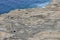Procida â€“ Particolare della scogliera di Punta Solchiaro