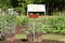 Produce Growing in Community Garden