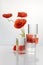 Product crystal minimal scene with glass geometric display platform and poppies flowers. Stand to show cosmetic product.