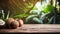 Product display rustic old wooden boards table with coconut farm in background.