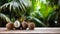 Product display rustic old wooden boards table with coconut farm in background.