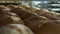 Production of bakery products close up. Freshly baked ruddy bread close up, lying on the shelves at the factory in the