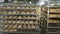 Production of bakery products. Freshly baked ruddy bread lies on the shelves in the bakery. Lots of bread on the shelves