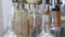 Production and bottling of alcoholic beverages. Spill of alcohol liquor in glass bottles at distillery. Glass bottles in