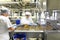 Production of pralines in a factory for the food industry - women working on the assembly line