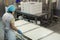 Production Process at Industrial Cheese and Dairy Factory