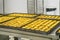 Production of traditional Portuguese eggs pastry called pastel d