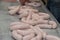 Production of white sausage