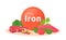 Products containing iron cartoon vector illustration