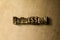 PROFESSION - close-up of grungy vintage typeset word on metal backdrop