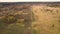 Professional aerial photography of the flight over the field and forest countryside. Shooting from a drone