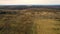 Professional aerial photography of the flight over the field and forest countryside. Shooting from a drone