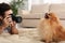 Professional animal photographer taking picture of beautiful Pomeranian spitz dog