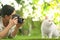 Professional animal photographer taking picture of white cat outdoors
