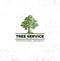 Professional Arborist Tree Care Service Organic Eco Sign Concept. Landscaping Design Raw Vector Illustration