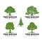 Professional Arborist Tree Care Service Organic Eco Sign Concept. Landscaping Design Raw Vector Illustration