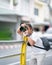 Professional Asian Camera man focus on the image with his mirrorless camera beside the street outdoor field