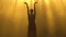 Professional ballerina dancing ballet in spotlights and smoke on stage. Silhouette of a beautiful slim figure.