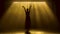 Professional ballerina dancing ballet in spotlights and smoke on stage. Silhouette of a beautiful slim figure.