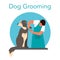 Professional barber grooming dog. Man caring of pet fur