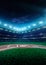 Professional baseball grand arena in night