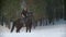 Professional beautiful longhaired woman riding a black horse through the deep snow in the forest, independent stallion