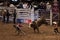 Professional Bull Rider tournament on Madison Square Garden