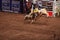 Professional Bull Rider tournament on Madison Square Garden