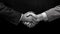 Professional business men shaking hands, black and white