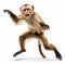 Professional Capuchin Monkey Photo In 8k Uhd - Realistic Full Body Shot