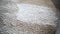 Professional carpet cleaning. Applying chemical foam on dirty carpet. Carpet Cleaning