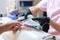 Professional cosmetologist shows color palette of manicure with gel lacquer, samples. Process close up. Woman in beauty salon.