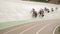 Professional cycling teams racing on open velodrome. Cycling track. Cyclists riding bicycles with fixed gear on high speed in curv
