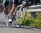 Professional cyclist takes part in a road cycling race