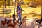 Professional Dog Walker - group of dogs with woman dog walker enjoying in walk outdoors