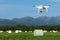 Professional drone quad copter DJI Phantom 4 Pro flight, monitoring using camera 4K over field with rolls of hay on sunny dry day