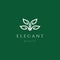 Professional Elegant Luxury Flower Leaf Logo Design Vector