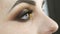 Professional evening makeup smoky eye. Eye makeup, face close-up view. Cosmetic concept