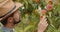 Professional farmer checking young peaches at garden