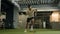 Professional footballer man with muscular legs run in gym use sport equipment ladder warm up cardio exercise training