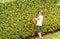 Professional Gardener cuting hedge with an electric hedge trimmer.