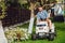 Professional gardener and lawn mower cuts the grass