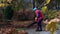 Professional gardener using leaf blower outdoor, in garden